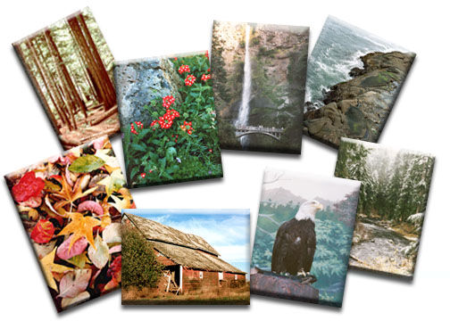 Digital Collection Image Custom Digital Imagery Package on CD-ROM