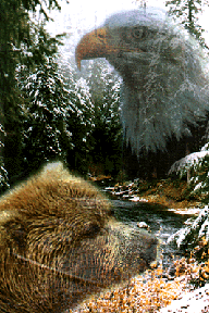 {short description of image}